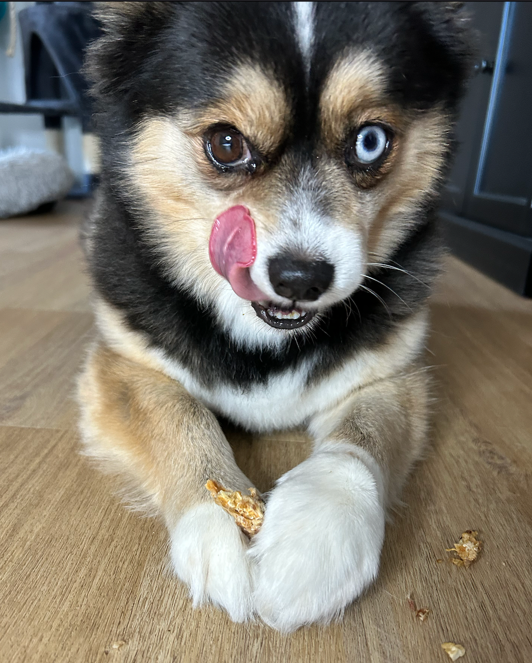 BOXD FOR PETS - CHICKEN NECK