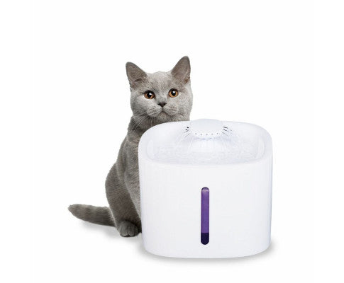 Pet Water Fountain