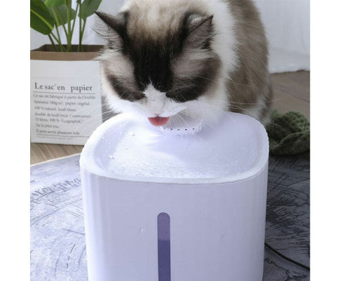 Pet Water Fountain