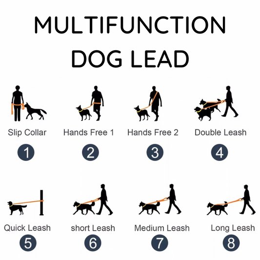 BOXD FOR PETS Multifunctional Waterproof Lead