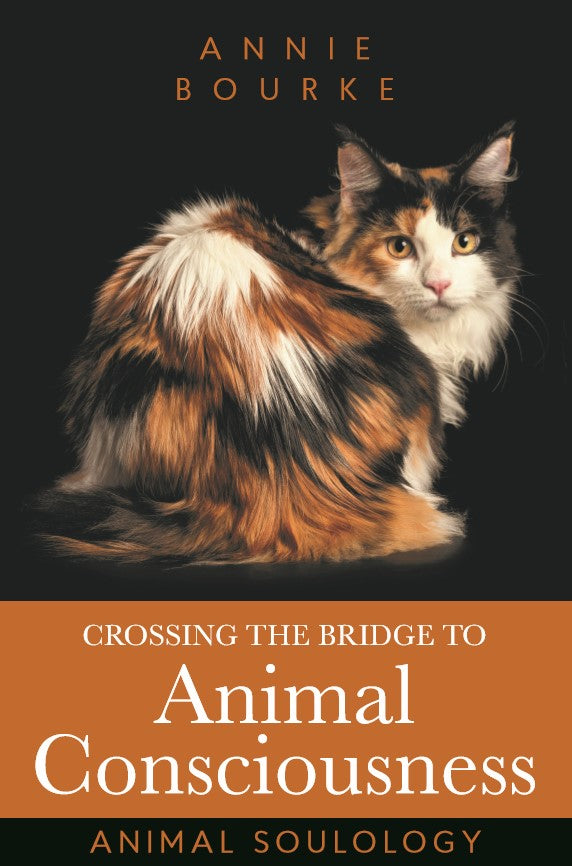 Bridging Animal Consciousness - Paperback Books