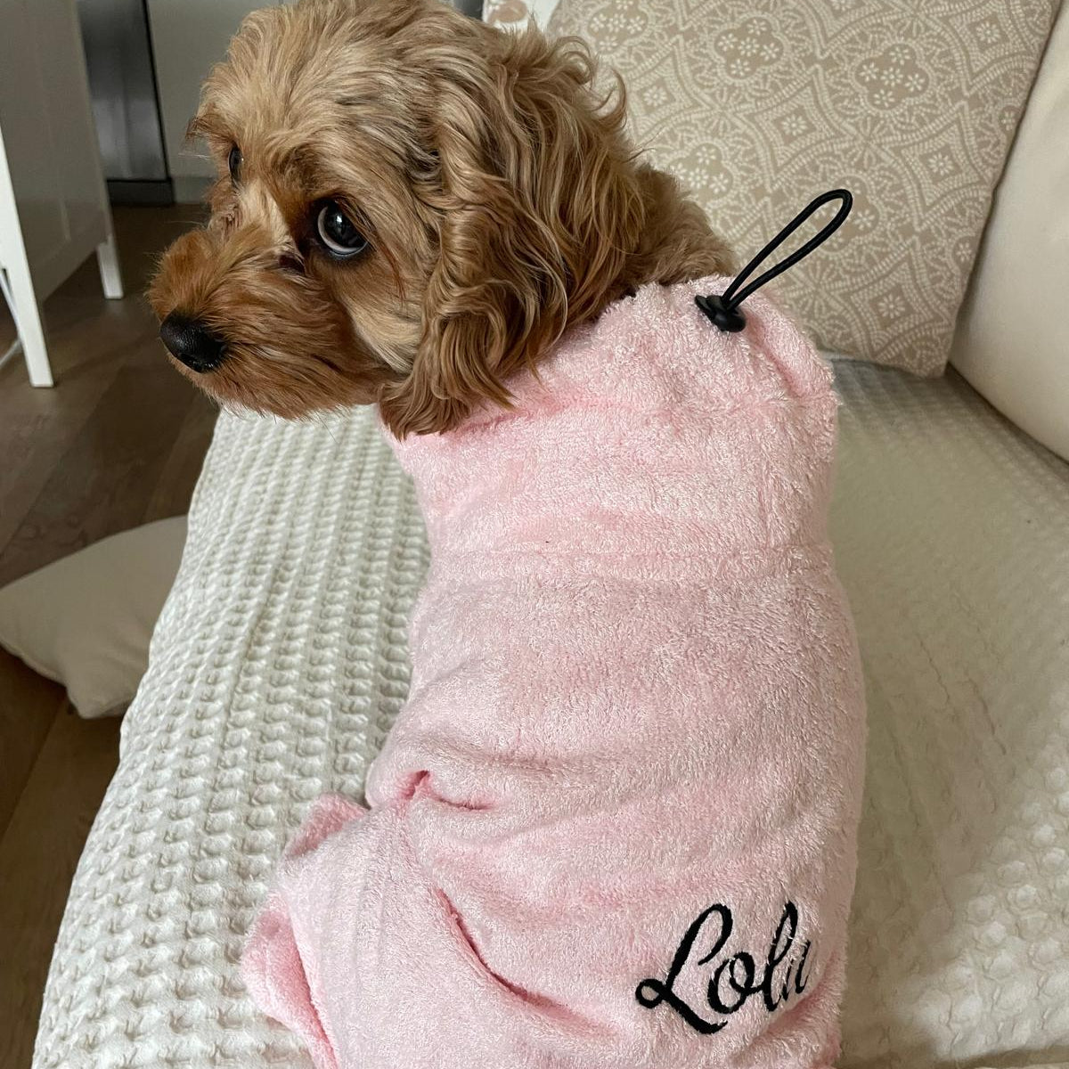 A small brown dog sitting on a cream textured sofa, wearing a plush light pink pet robe with the name 'Lola' embroidered in black script on the back.