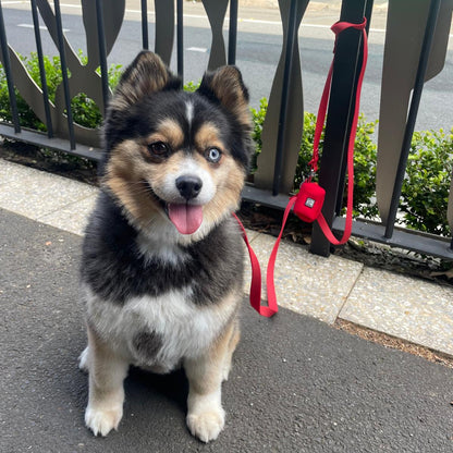 Waterproof Handsfree Dog Lead