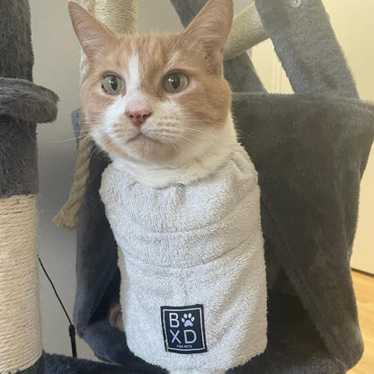 An orange and white cat wearing a white terry cloth pet sweater with a black square patch that reads 'BOXED CAT CO.' in white letters, sitting on a gray cat tree.