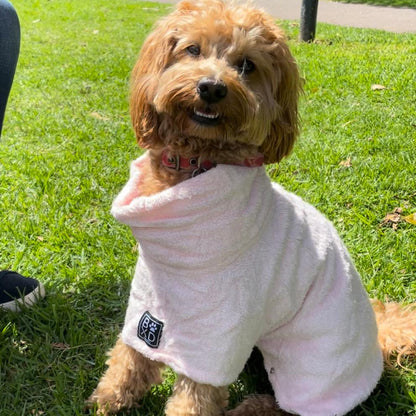 A small fluffy brown dog sitting on green grass outdoors, wearing a light pink fleece pet blanket or hoodie. The dog is looking directly at the camera in a sunny park setting.
