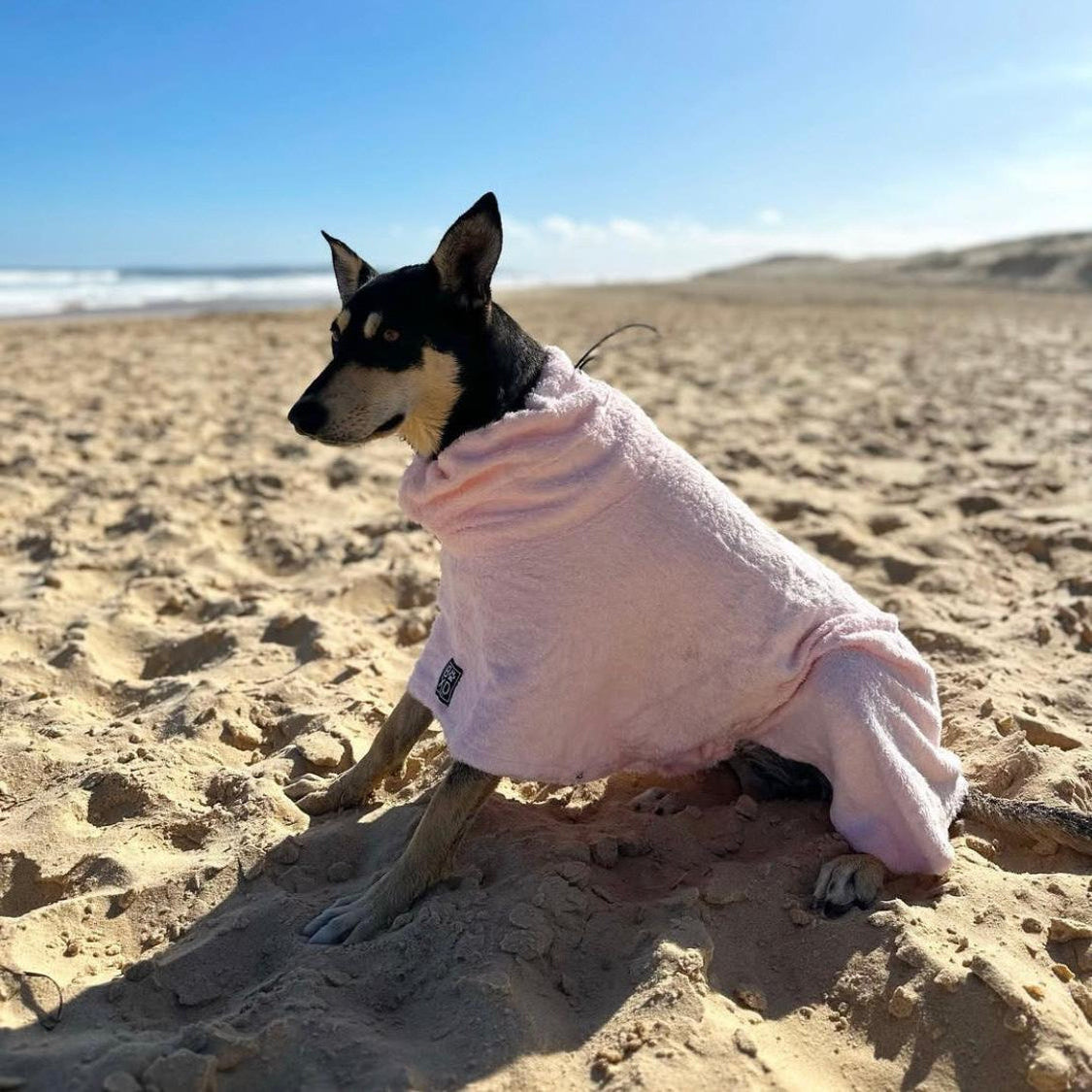 A small black and white dog sitting on a sandy beach wearing a light pink hooded towel or blanket.