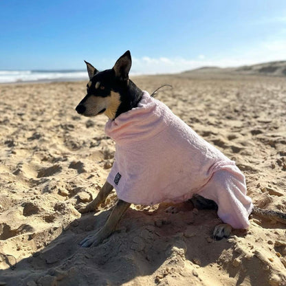 A small black and white dog sitting on a sandy beach wearing a light pink hooded towel or blanket.