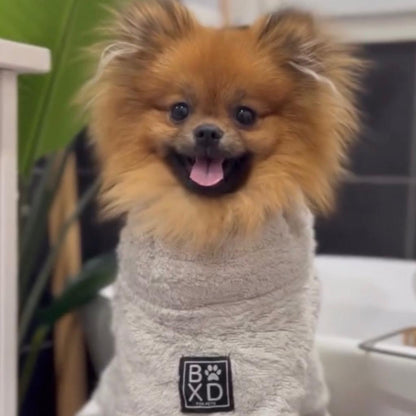 A fluffy golden-brown Pomeranian dog wearing a light gray towel-style pet sweater with a black square logo patch reading 'BxD' on the front, sitting on a black stool in an indoor setting.