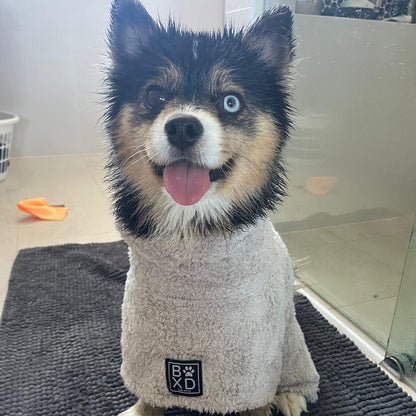 A small black, tan, and white dog wearing a light gray towel or sweater with a black square patch that reads 'BWD' with a paw logo, sitting on a dark textured mat indoors.