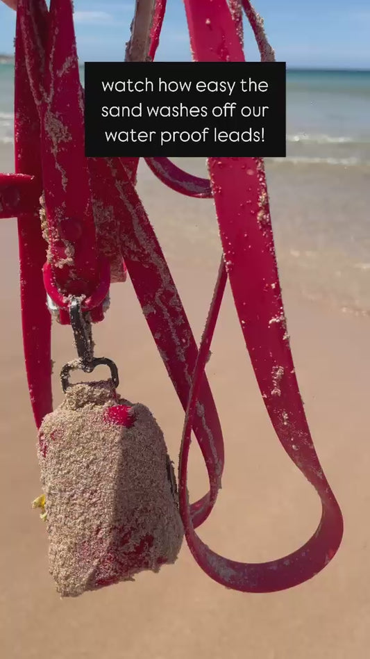 Waterproof Handsfree Dog Lead