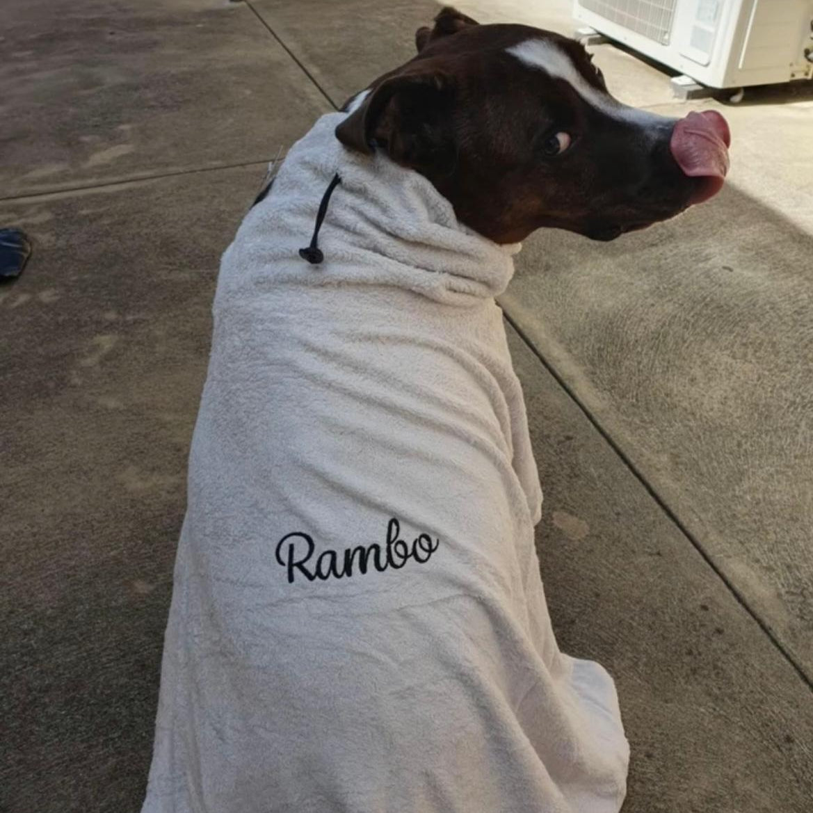 A brown and white dog sitting on a concrete patio, wrapped in a light gray hooded towel or blanket with the name 'Rambo' embroidered in black script on the back.