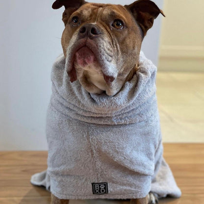 A brown and white dog sitting indoors wearing a light gray plush hooded towel wrap. The dog is looking upward, with its mouth slightly open, on a light-colored wooden floor against a neutral indoor wall.