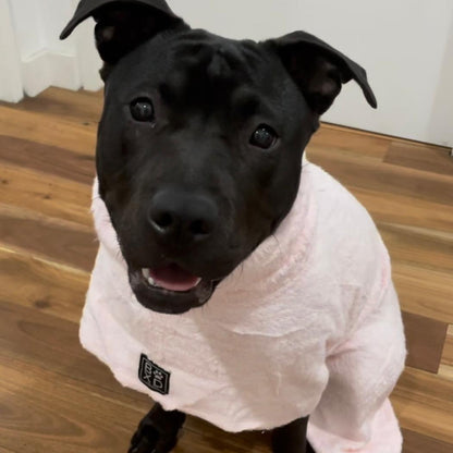 A black dog wearing a light pink terry cloth pet robe sits on a wooden floor indoors.