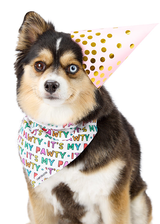 Stumpy Collective Birthday Bandana