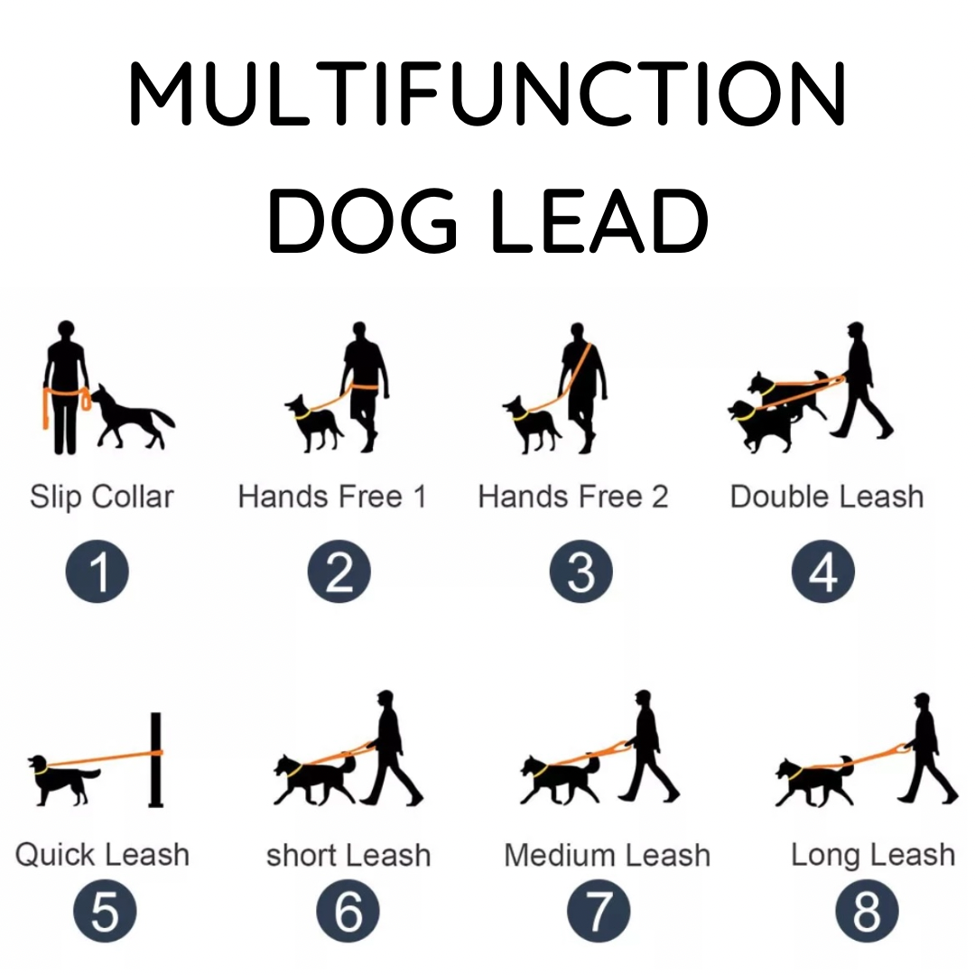 BOXD FOR PETS Multifunctional Waterproof Lead